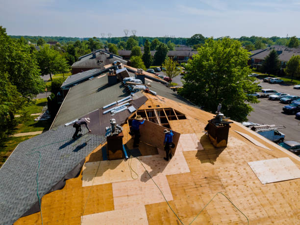 Trusted Emergency Roof Repair service in North Hollywood, CA - Brentwood Metal Roofing
